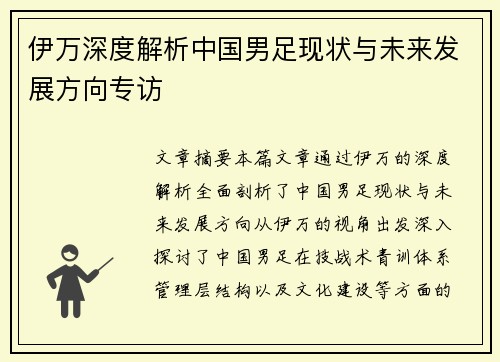伊万深度解析中国男足现状与未来发展方向专访