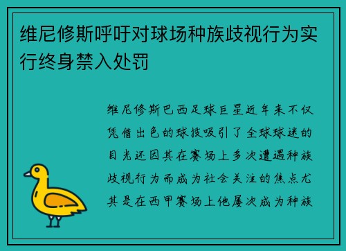 维尼修斯呼吁对球场种族歧视行为实行终身禁入处罚